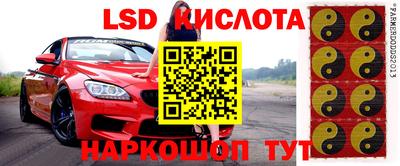 прущие грибы Беслан