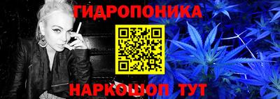 прущие грибы Беслан