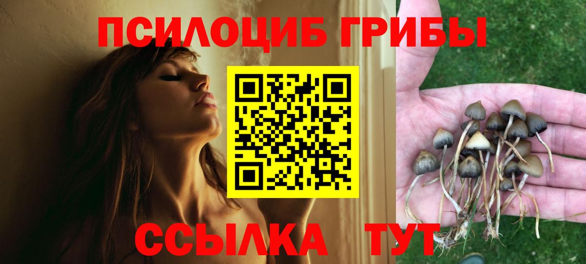 Псилоцибиновые грибы MAGIC MUSHROOMS Гусиноозёрск