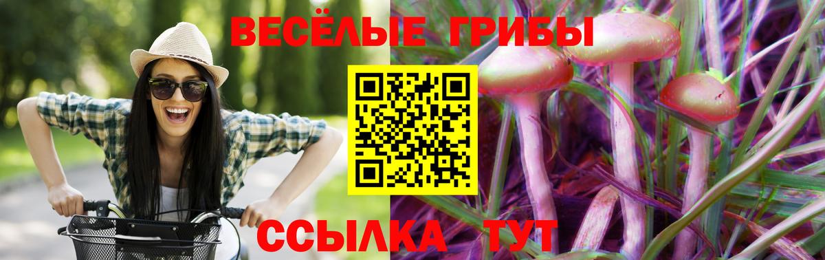 Псилоцибиновые грибы ЛСД  Псилоцибиновые грибы Psilocybine cubensis  Гусиноозёрск  Вход с VPN 